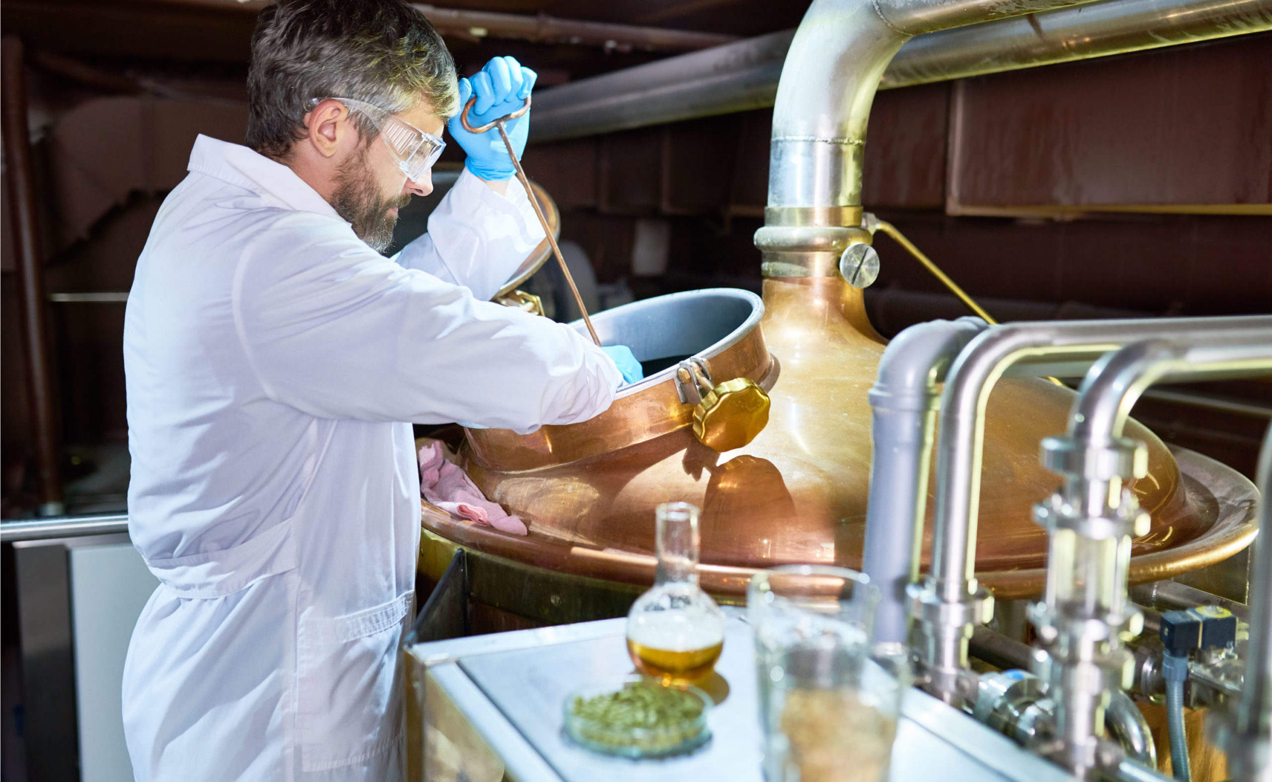 fermentation