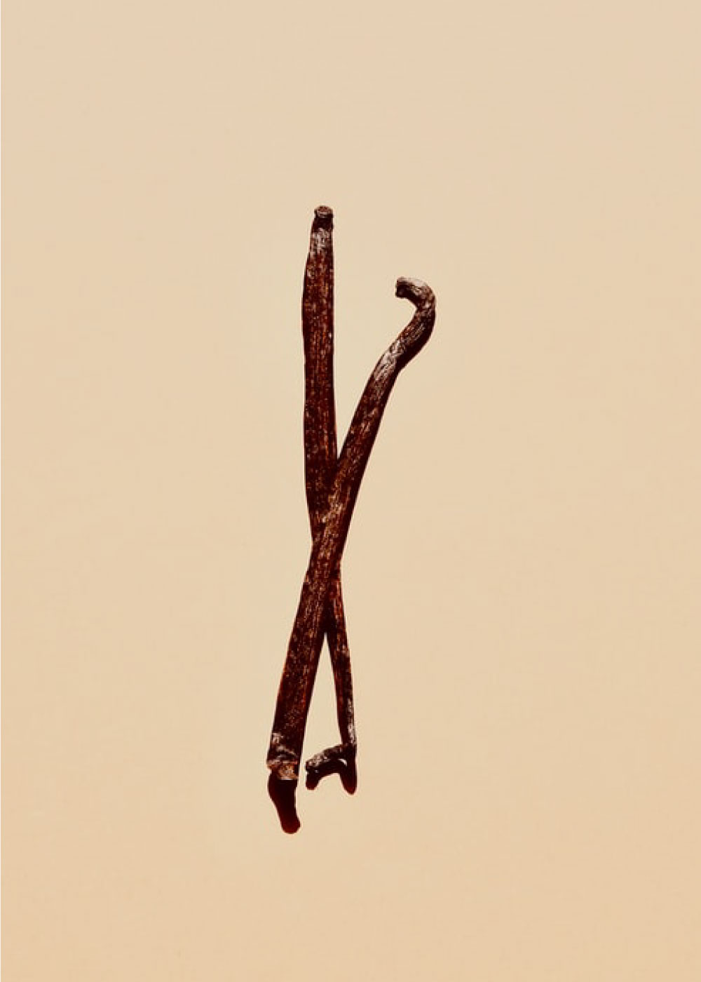 Firmenich-2