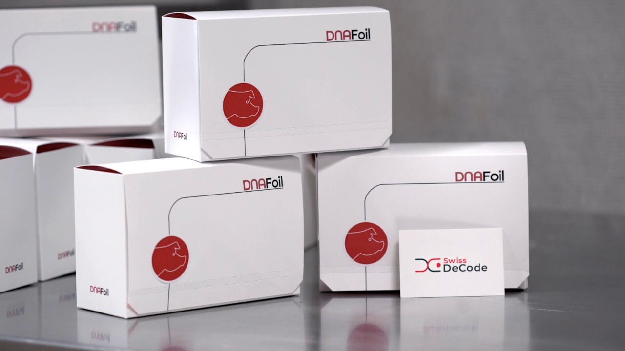 swissdecode-dnafoil-1 orange fruit tree