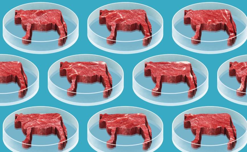 synthetic-meat_cooke_1