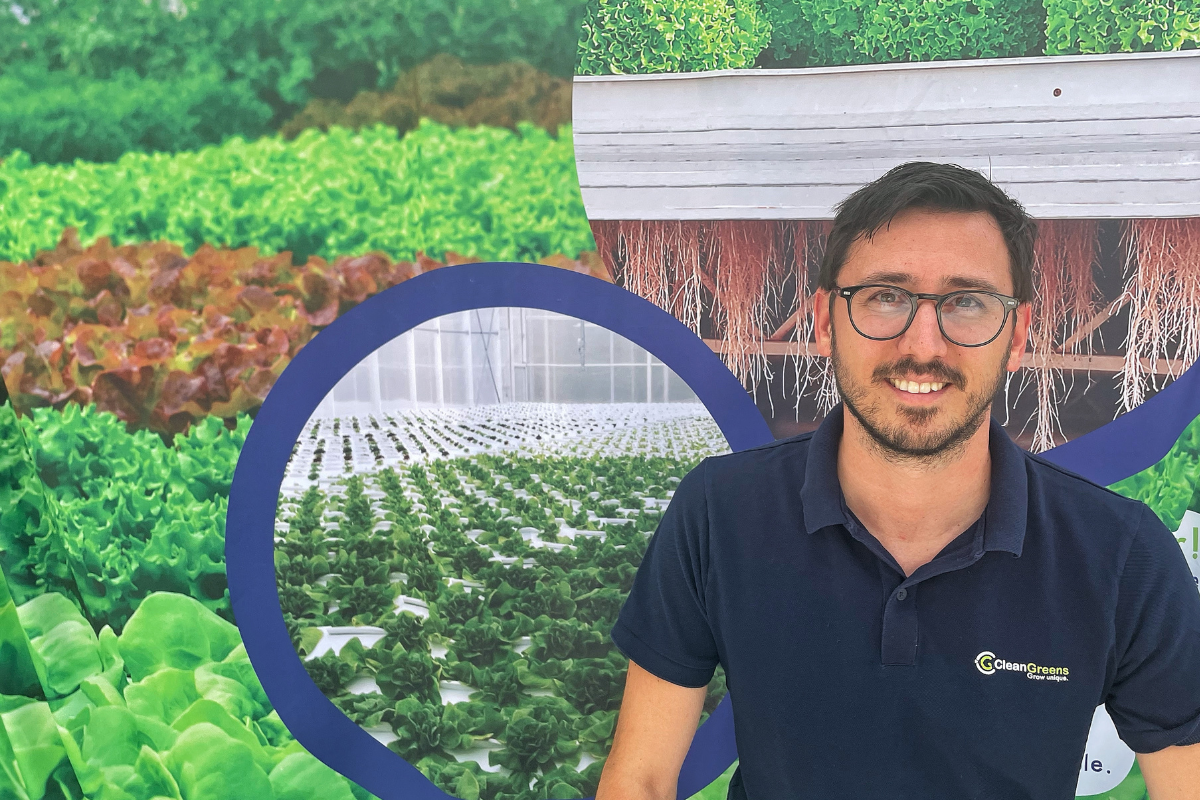 Clean Greens Header Image