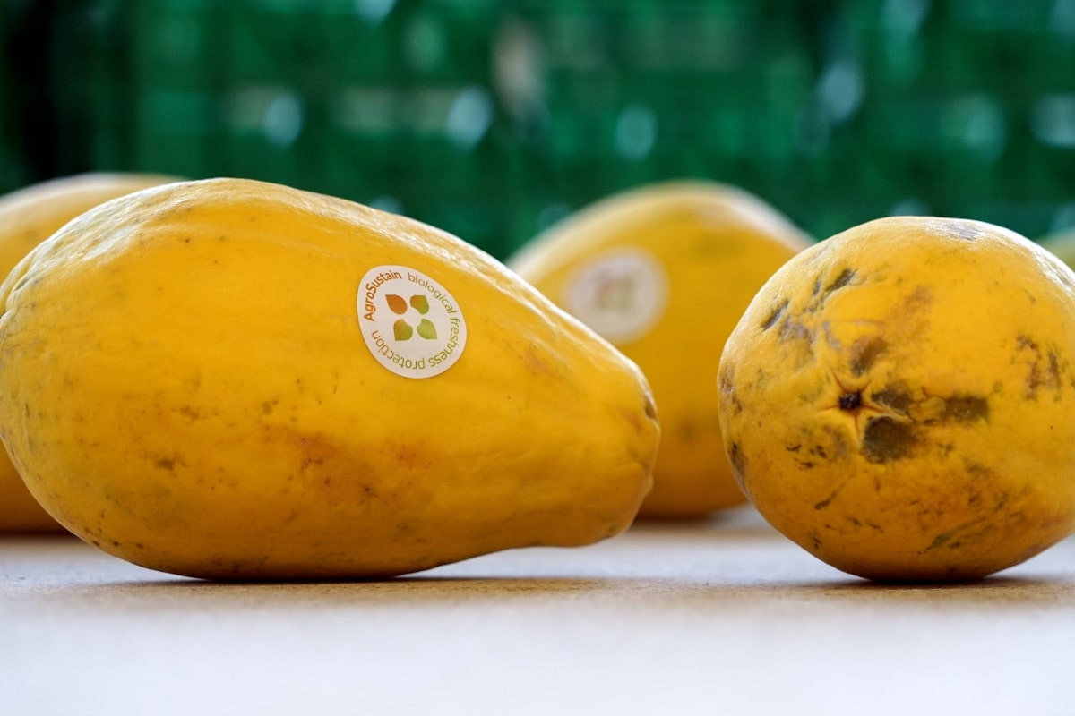Agrosustain Agrosustain produces natural coatings for fruit and vegetables