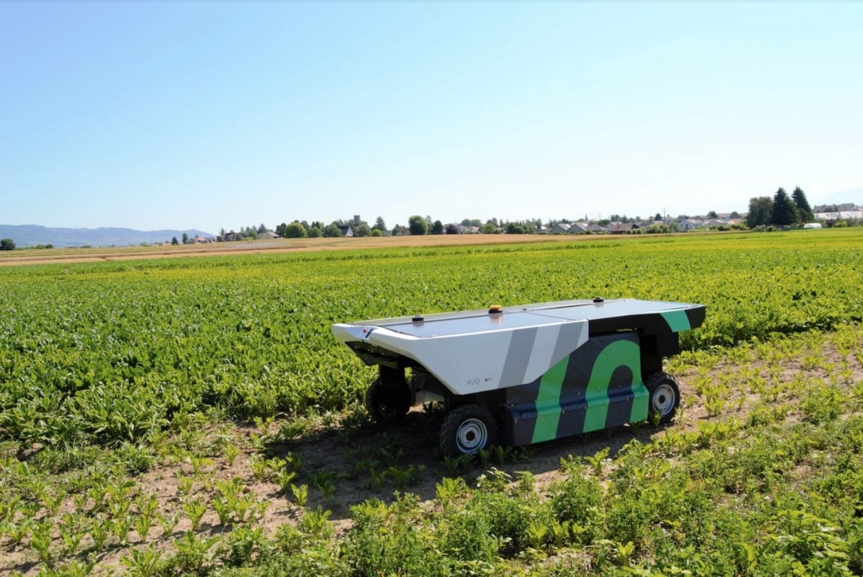 Ecorobotix Agricultural vehicle in a green field