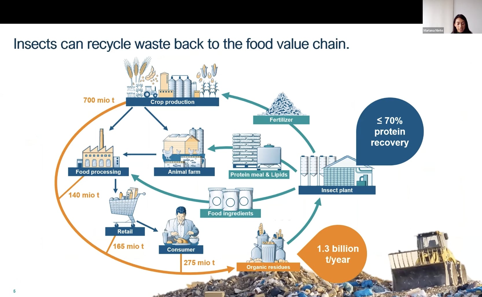 Mariana Nieto_Bühler Food cycle diagram