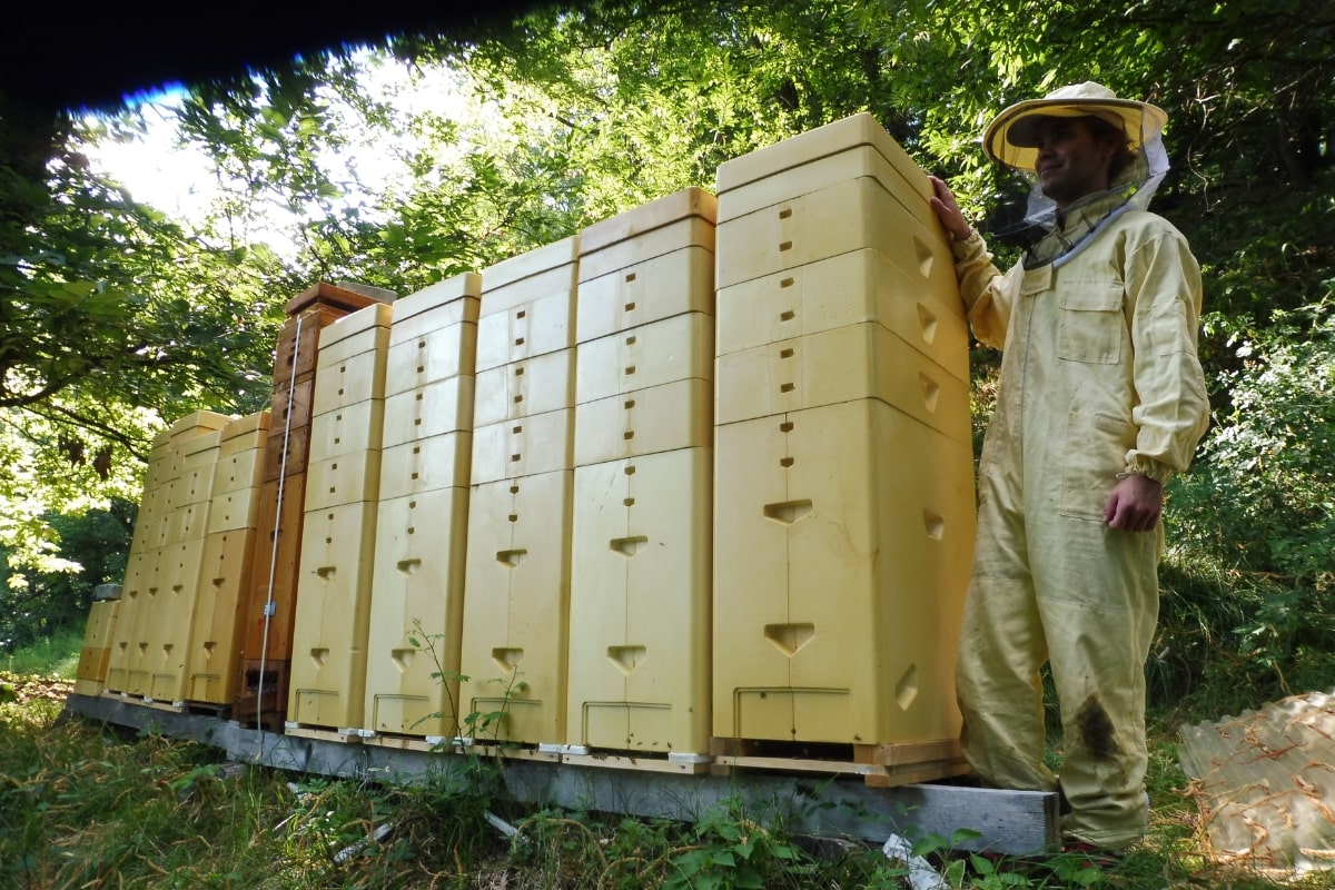PrimalBee Beehives