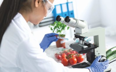 What if Switzerland became the world leader in food innovation?