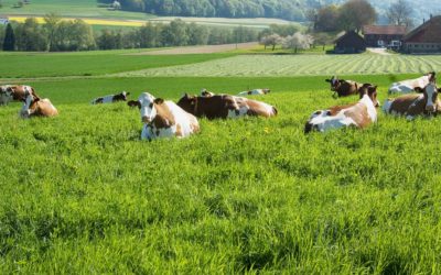The Agroscope joins the SFNV.