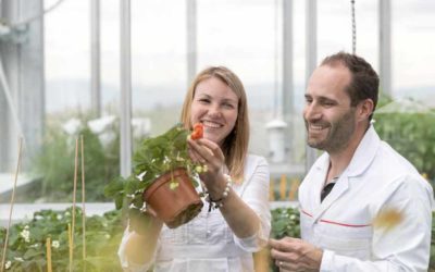 Switzerland’s TOP 3 foodtech startups 2020