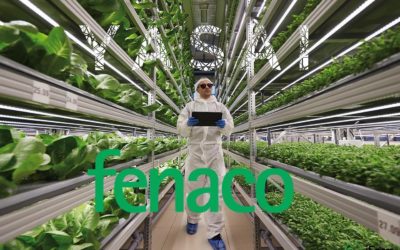 YASAI and FENACO invest together CHF 1.5Mio to build the first Circular Vertical Farm worldwide