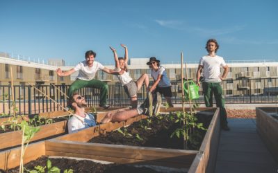 Swiss urban agriculture solution “Légumes Perchés” amongst finalists of the best sustainable startup award organized by “Le Temps”
