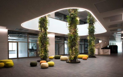 Givaudan, the world’s largest company in the flavour and fragrance industries, joins the SFNV