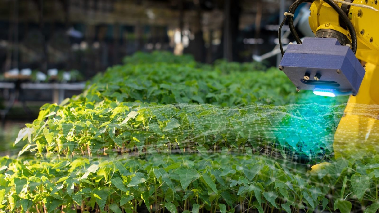 Join the upcoming China AgriFood Tech Bootcamp 2021