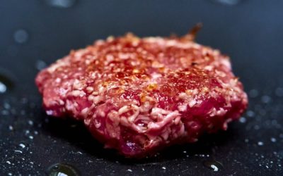 Swiss Cell-based Startup Mirai Foods Secures CHF 2.1M for Product Development