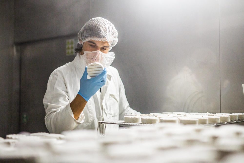 man inspecting batch of cheese