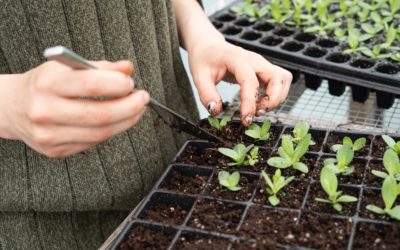 Agropôle Brings Together Agritech Players to Boost Innovation