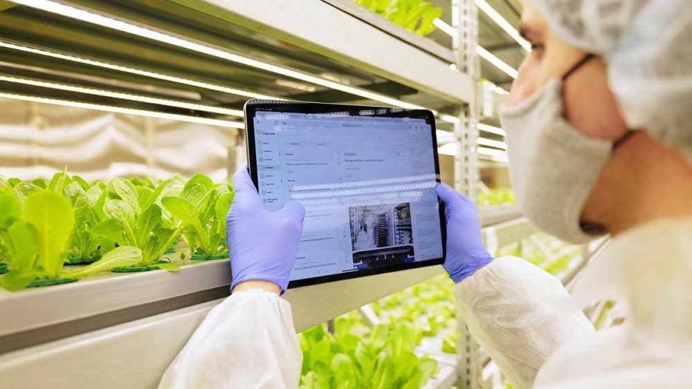 YASAI vertical farming