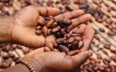 Farmer Connect Secures US$9M to Bring Transparency to Supply Chains