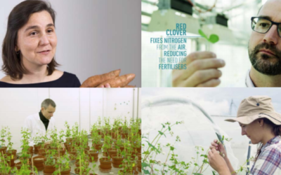 Science Stories – WFSC Short Films Premiere | 25th May 2021