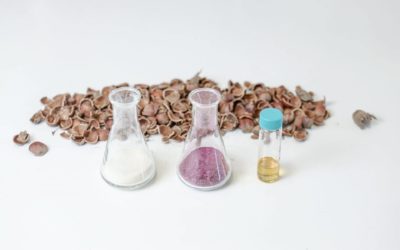 Fribourg-based Startup Bloom Biorenewables Wins the Sustainable Economy Prize