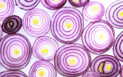 Quantis launches Food Report to cultivate a sustainable and resilient food system