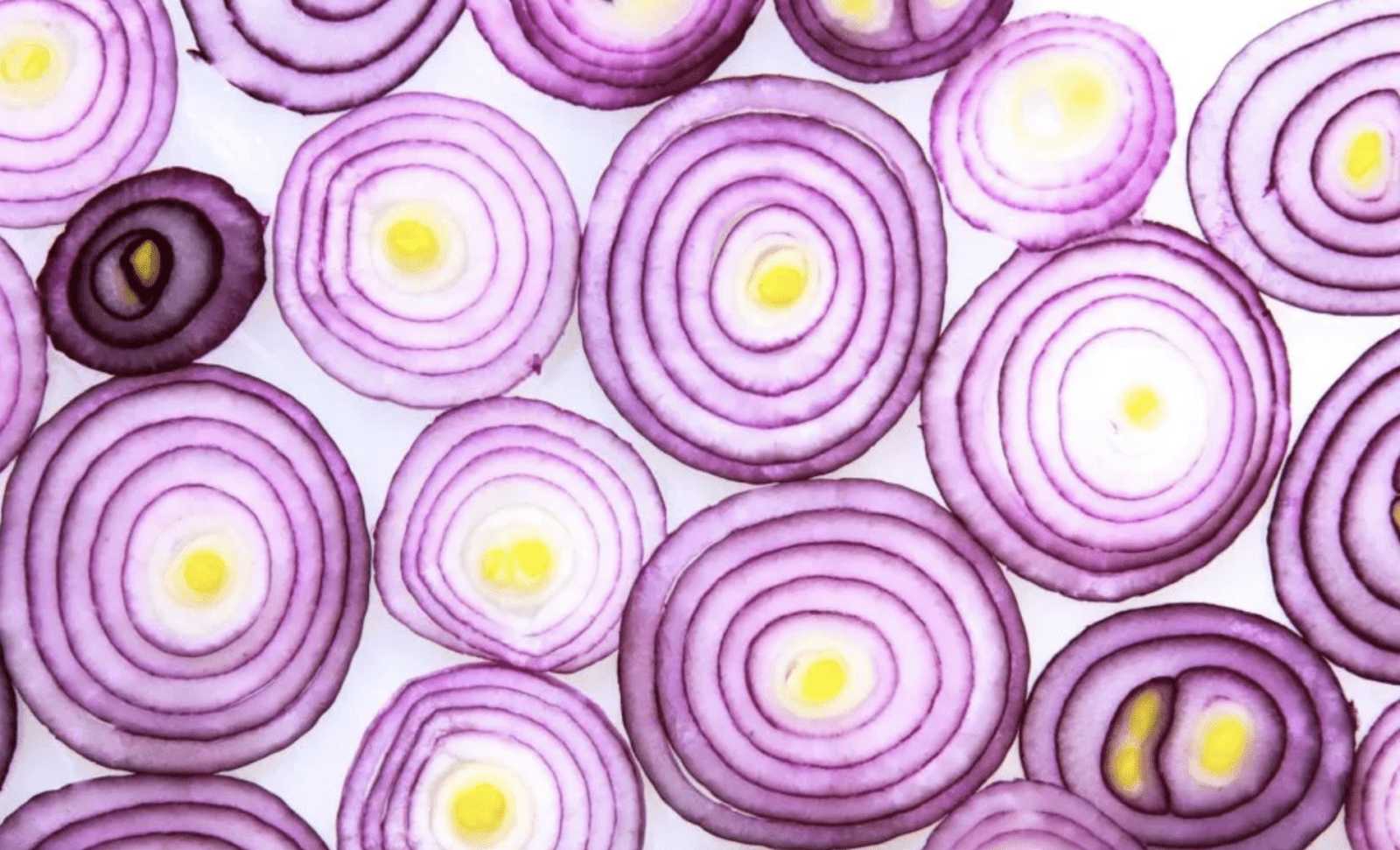 Quantis launches Food Report to cultivate a sustainable and resilient food system
