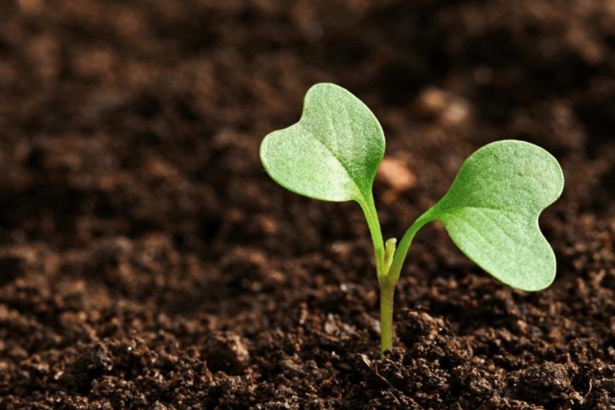 The Canton of Fribourg Launches its First Agri-Food Strategy Projects