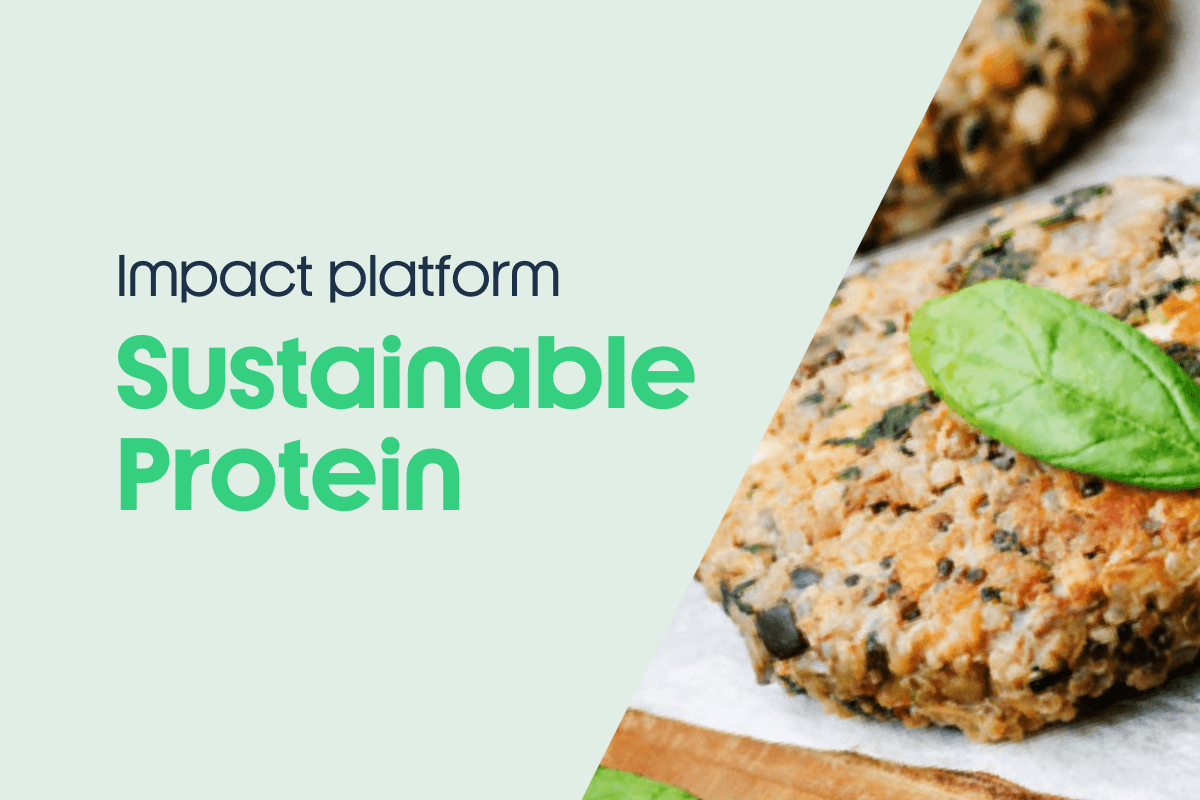 SFNV launches its Impact Platform on Sustainable Protein