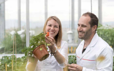 AgroSustain kick off their commercial rollout