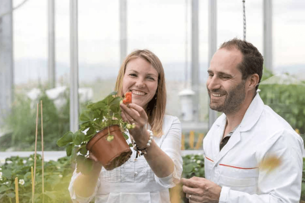 AgroSustain kick off their commercial rollout