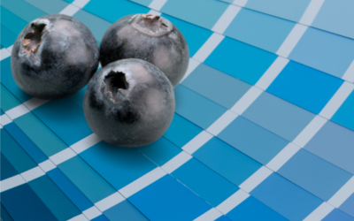 How iSense is mapping taste just like Google mapped the Earth