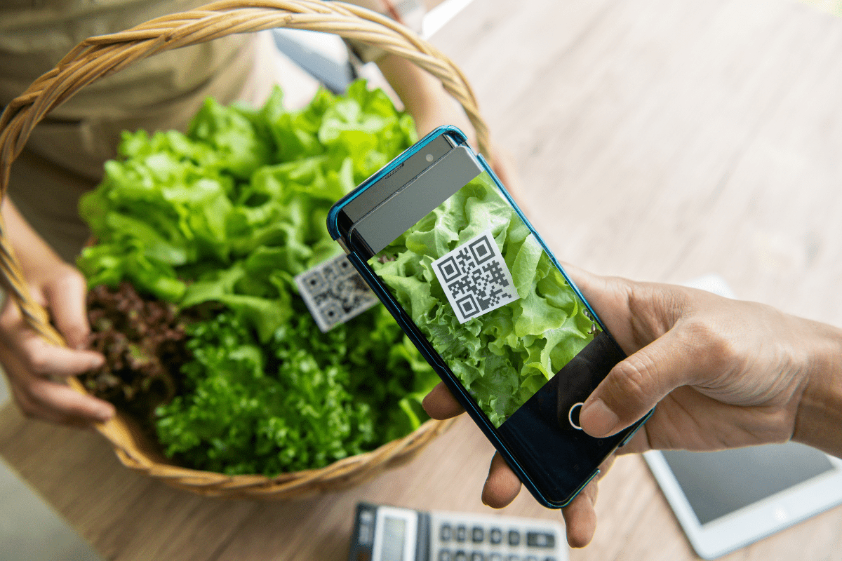 SFNV launches a new Impact Platform on Food Systems 4.0