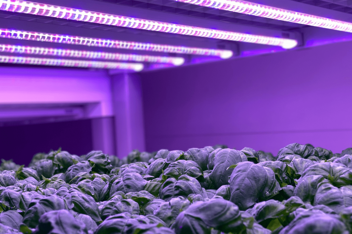 This Swiss startup’s AI-powered solution is leveraging data to improve how we farm.