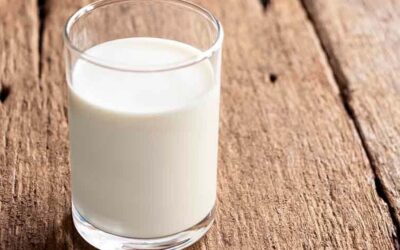 Nestlé explores emerging technologies for animal-free dairy proteins