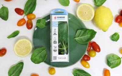 Time to grow: YASAI’s crowd-invested funding round gets off to a strong start.