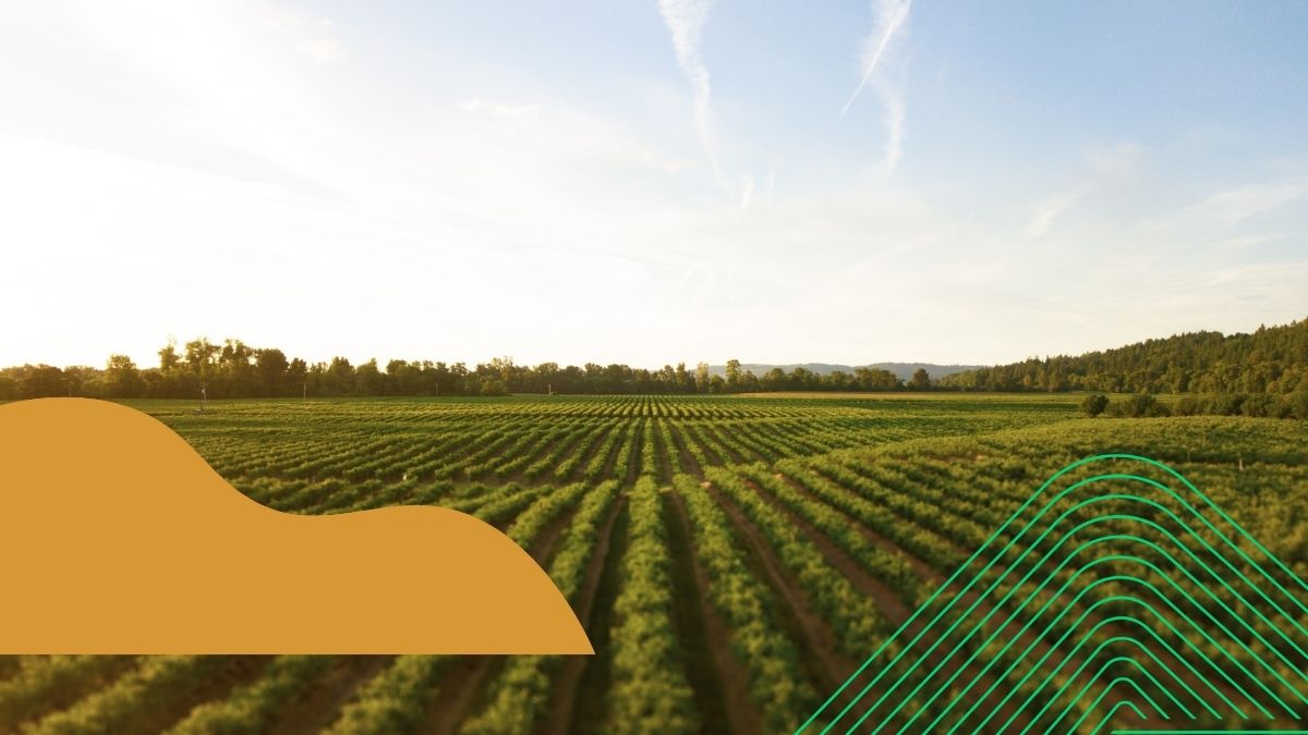 Future Farming workshop