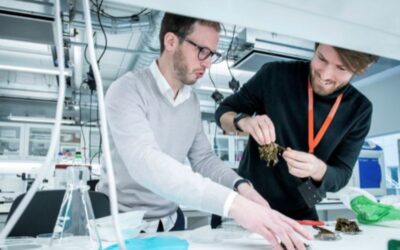 B’ZEOS: Using Science and Seaweed to Tackle our Plastic Pollution Problem