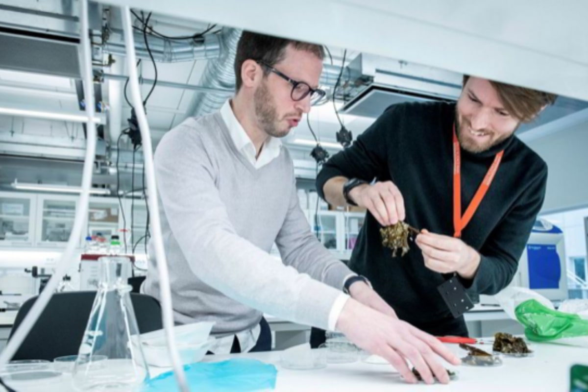 Two men working in a lab