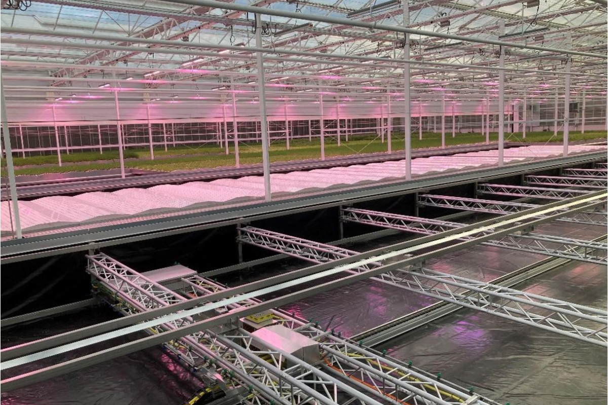 Two new partnerships expand CleanGreens’ presence in the European and Middle Eastern markets