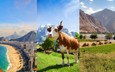 The role of Innovation, Impact and Frontline Agricultural Nations in driving global food system transformation