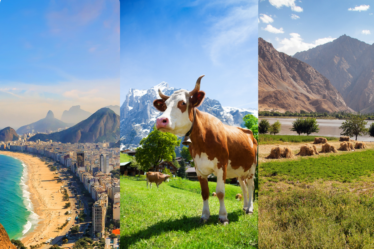 The role of Innovation, Impact and Frontline Agricultural Nations in driving global food system transformation