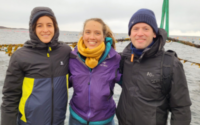 Seaweed-based packaging innovator, B’ZEOS, secures seed round and strategic partnerships