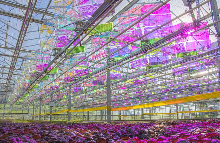 Voltiris Secures CHF 4.8 Million Seed Financing to Power and Electrify High-Tech Greenhouses