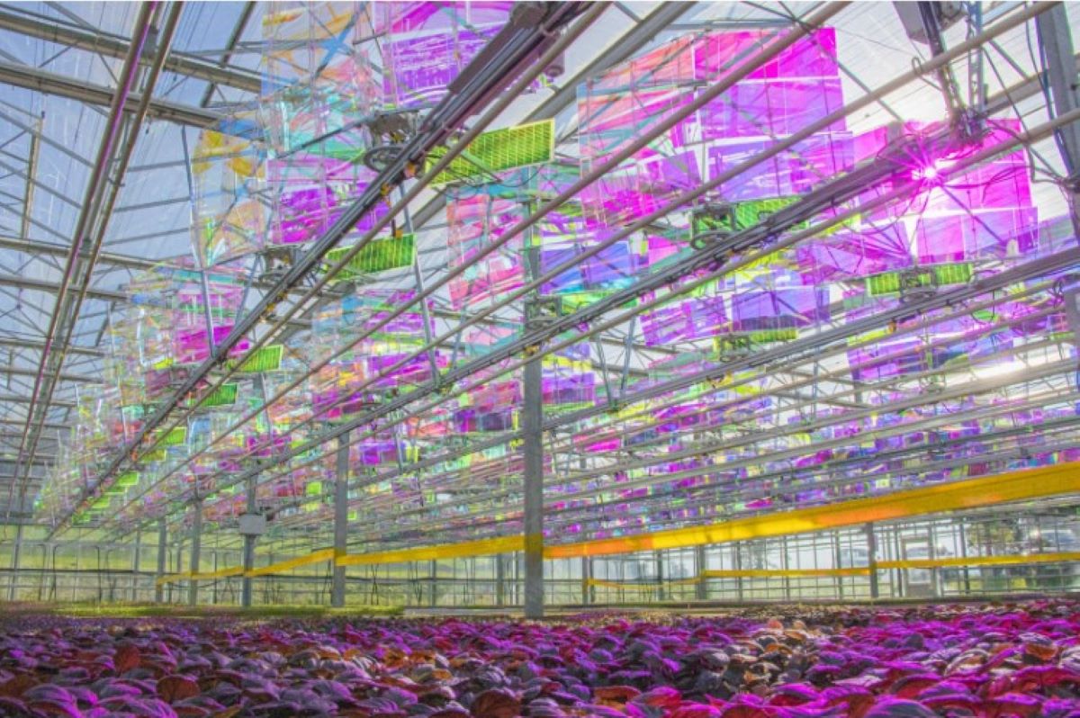 Voltiris Secures CHF 4.8 Million Seed Financing to Power and Electrify High-Tech Greenhouses