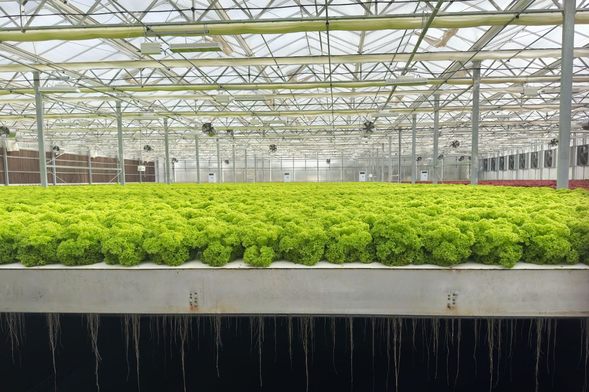 The Future of Food: Givaudan, Nestlé R+D Accelerator Lausanne and FoodHack launch the 2025 FoodTech World Cup 